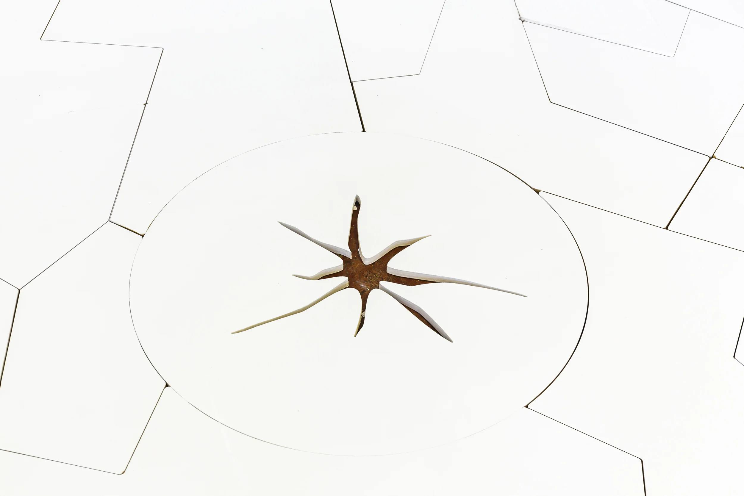 ian Lewis - damiendavis_whiteroom_method_0116b.jpg