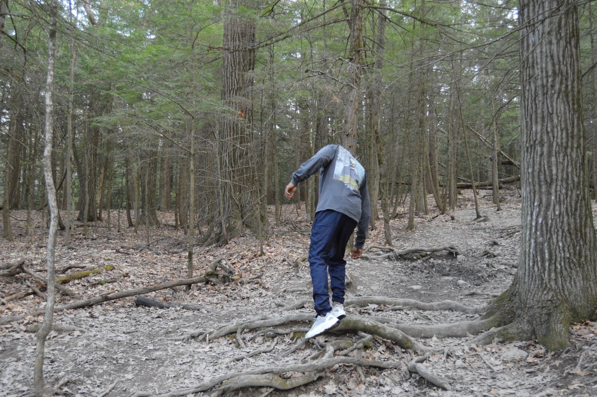 DSC_0455.JPG