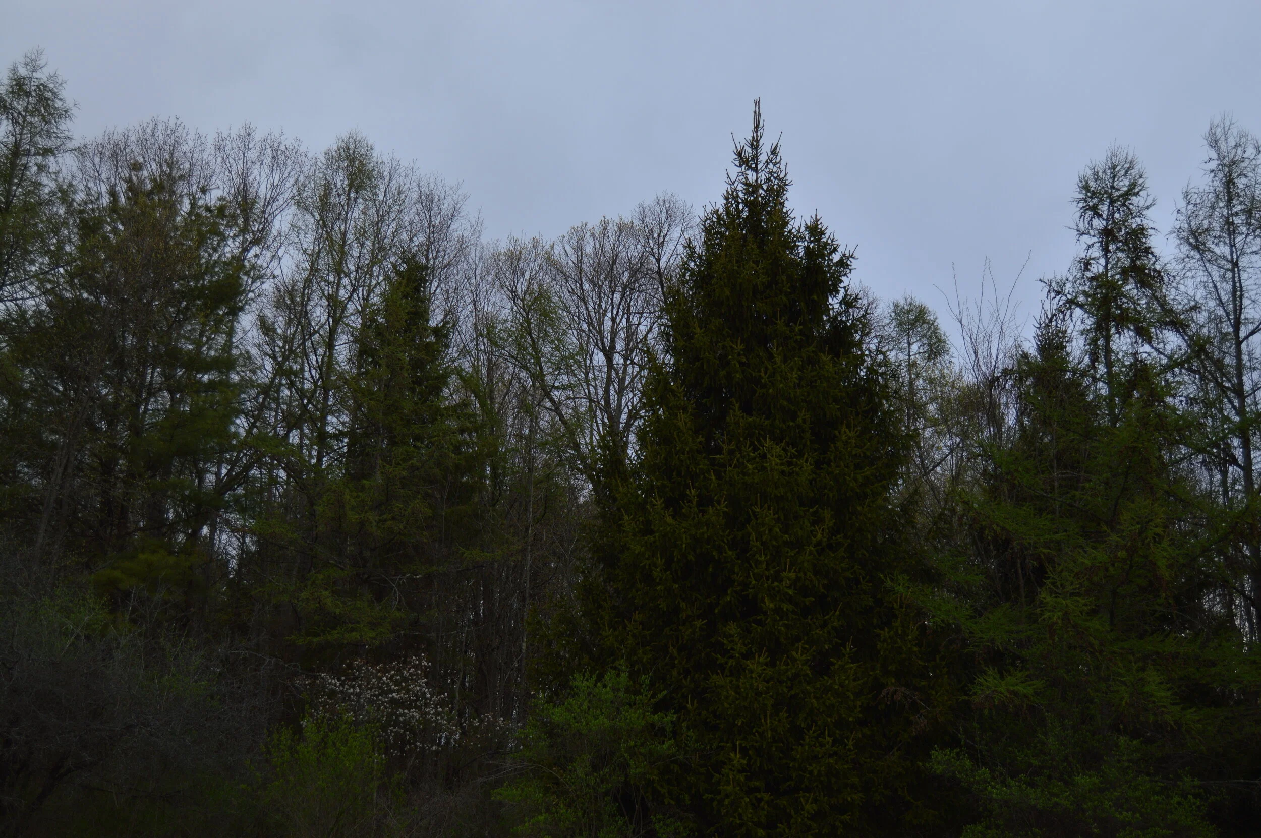 DSC_0658.JPG