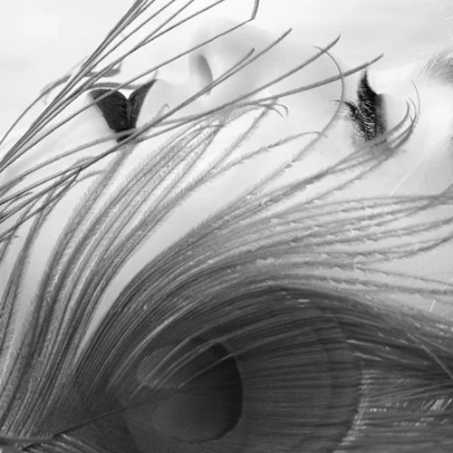 LaurieKleinPhotographingwithIntention.jpg
