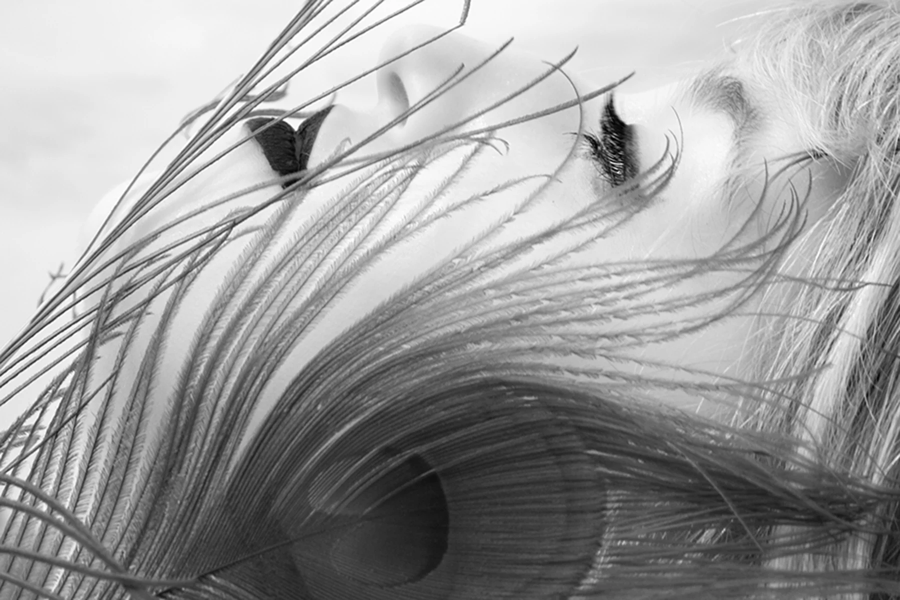 Photograph with Intention 