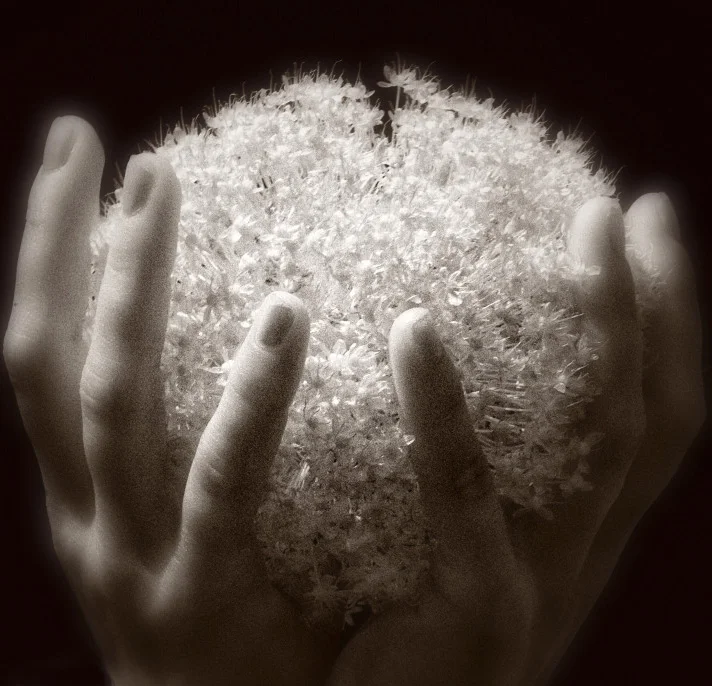 Photo Adventures: Play with Infrared, Lensbaby and More