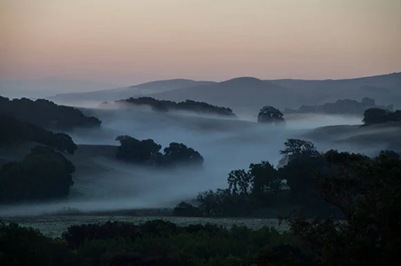 Just before sunrise: Firefly Institute Camp 2016