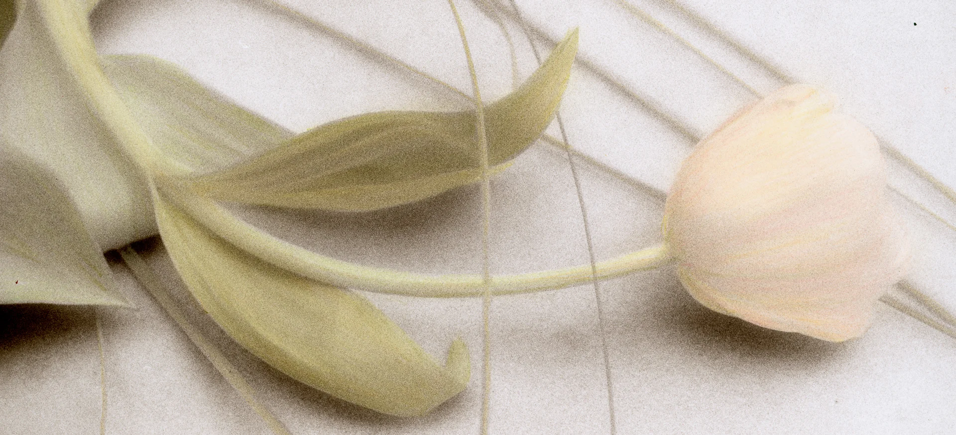 MC-Header-1-1.jpg