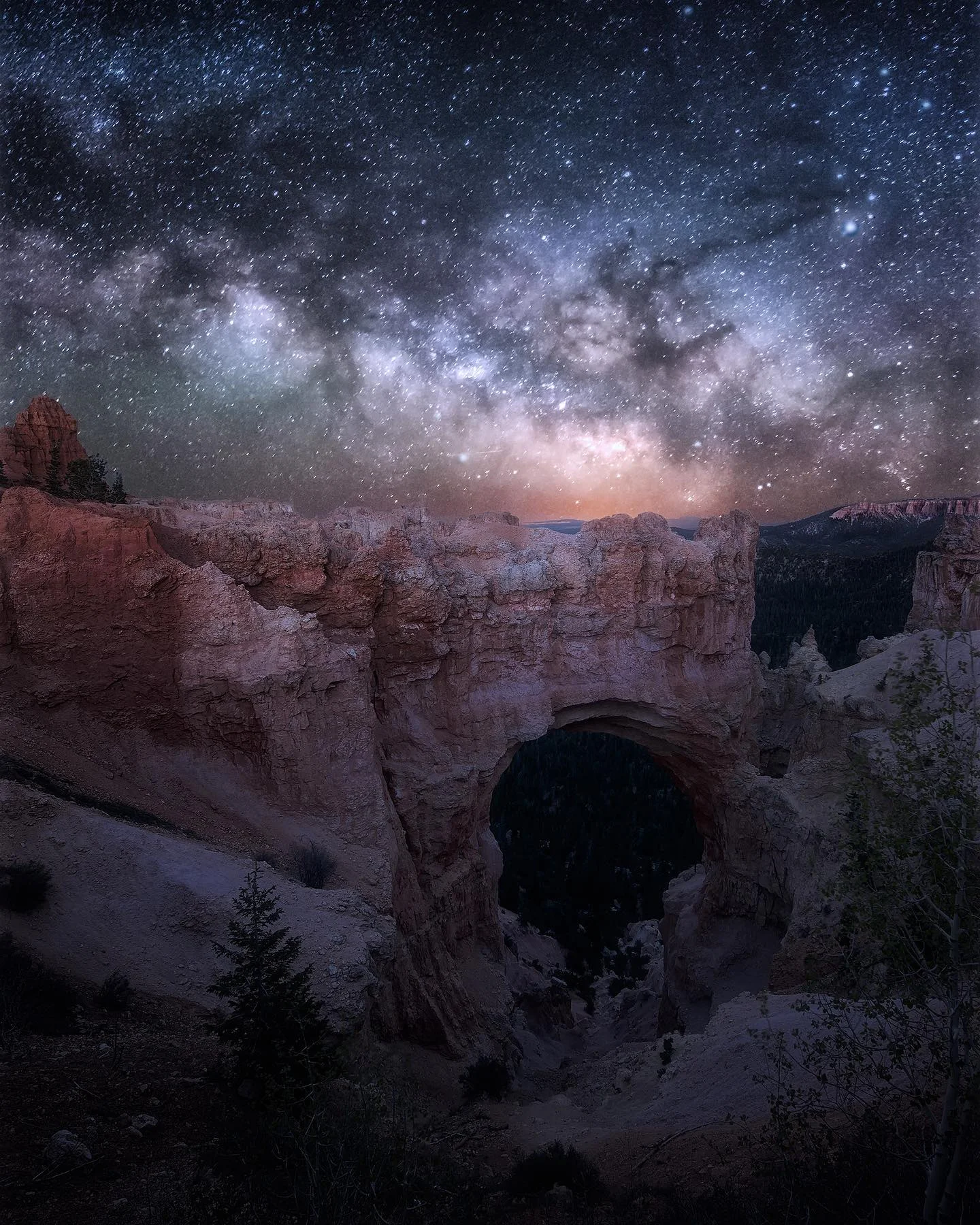 Your Digital Darkroom (post processing essentials)