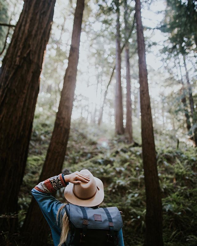 📷 by @von.co
Shinrin-yoku or forest bathing is a concept that comes from Japanese medicine. It is the idea that spending time in the forest is healing both to your body and your mind 🌲
.
.
.
.
.
.
.
.
 #photography #womenphotographer #photographyli