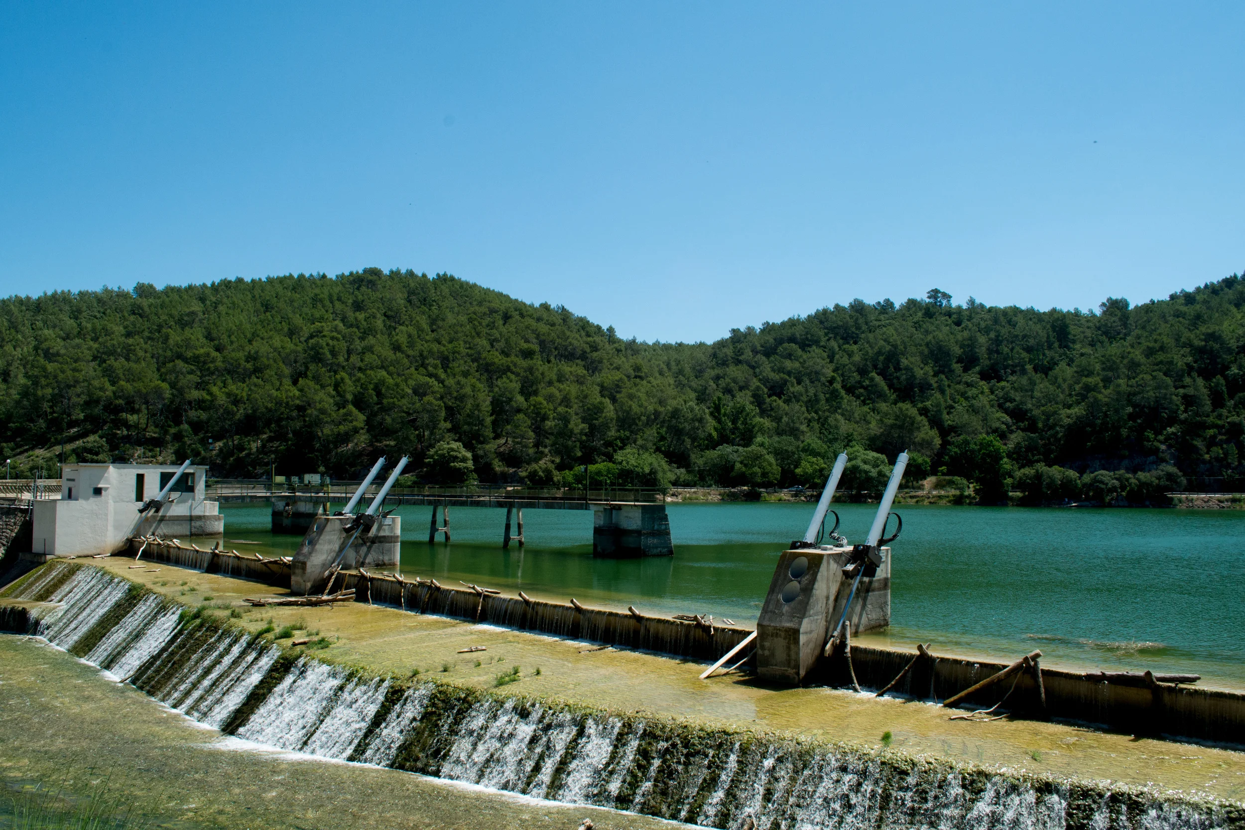 DSC_0725.jpg