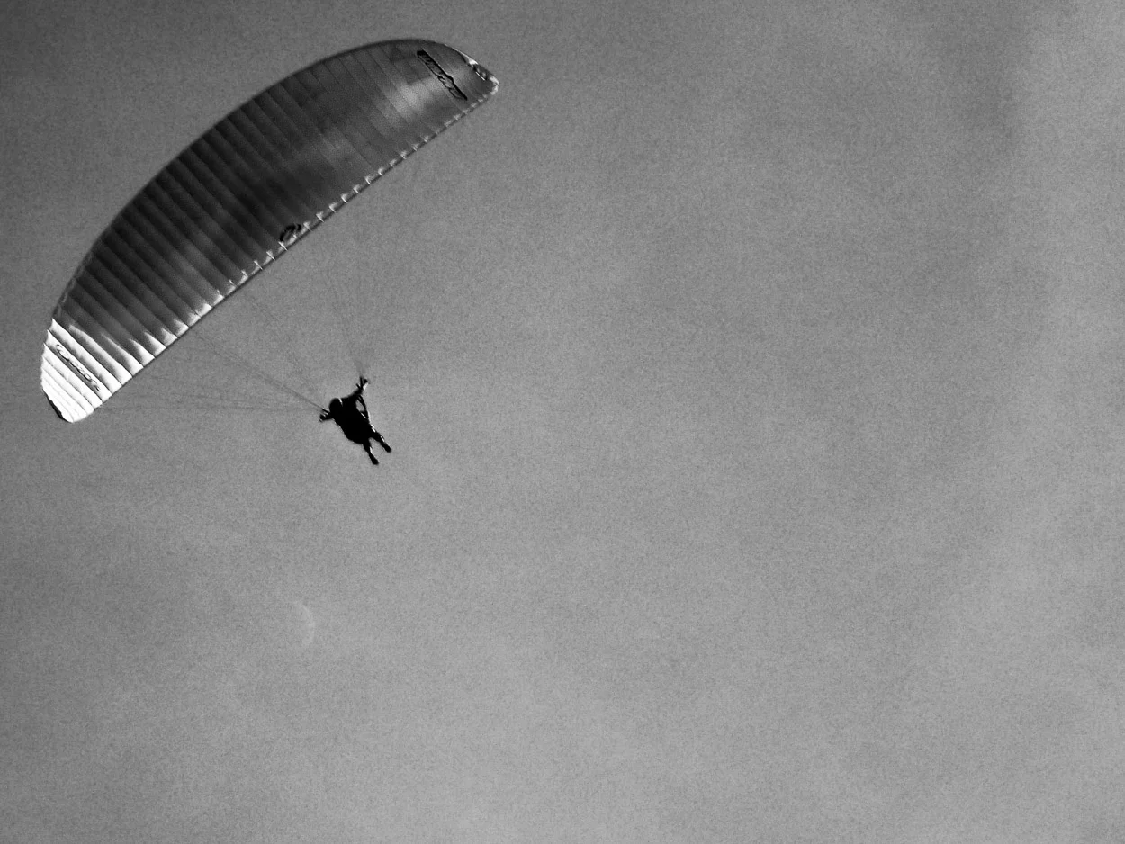 The Golden Parachute