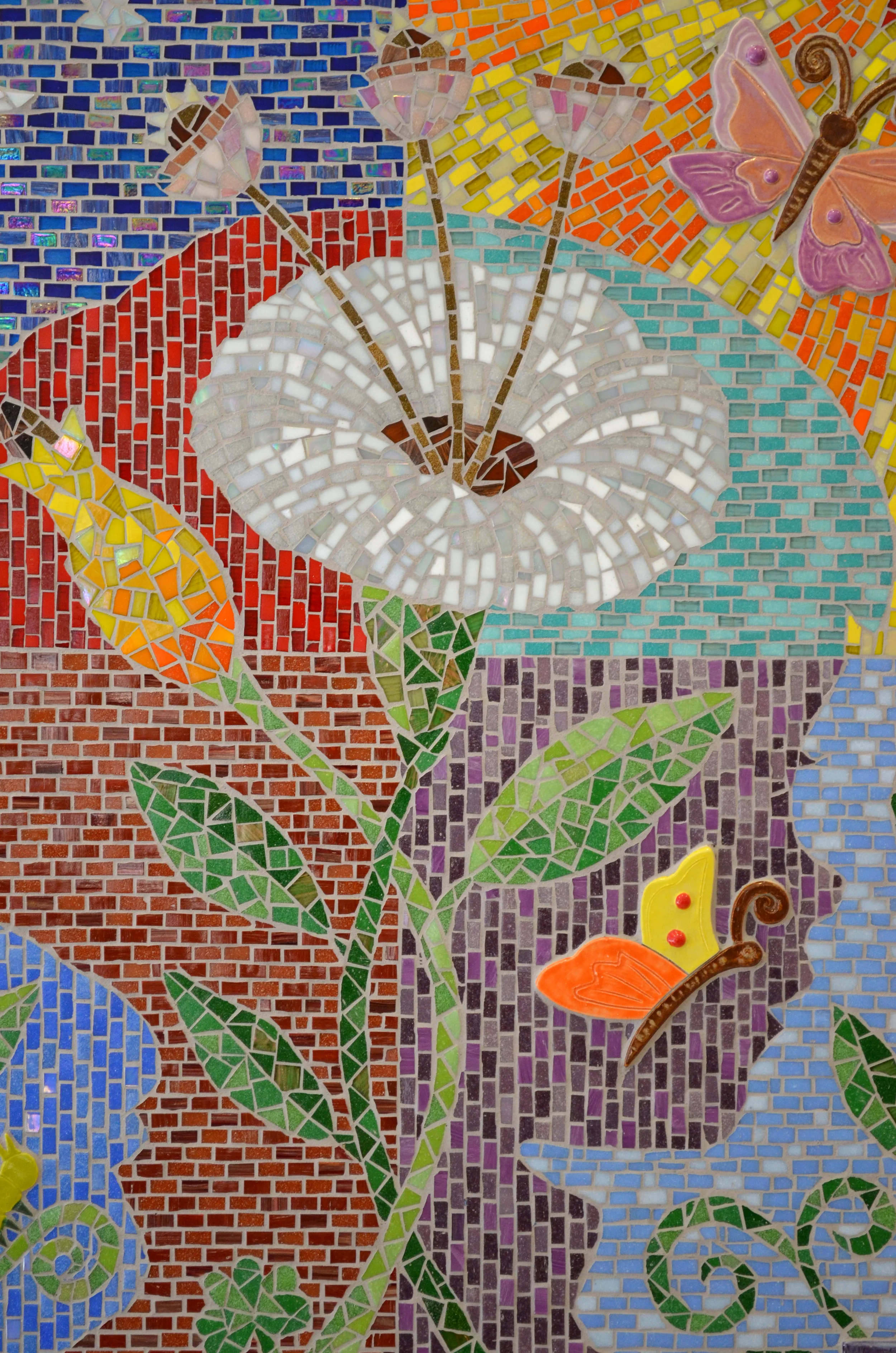 FRESHSTARTDSC_0329 copy.JPG