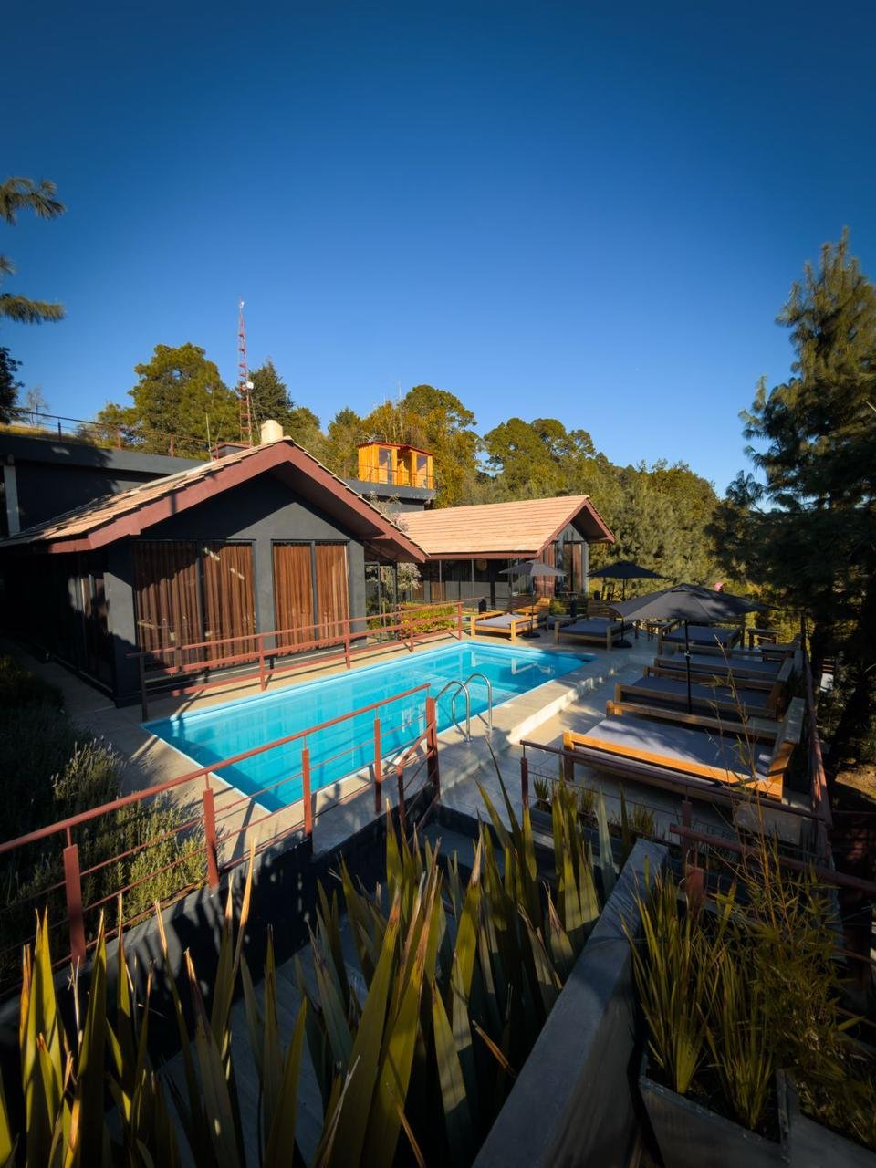 Vista de una alberca en un complejo de casas rurales, rodeada de tumbonas con sombrillas y un entorno natural con árboles y un cielo despejado.