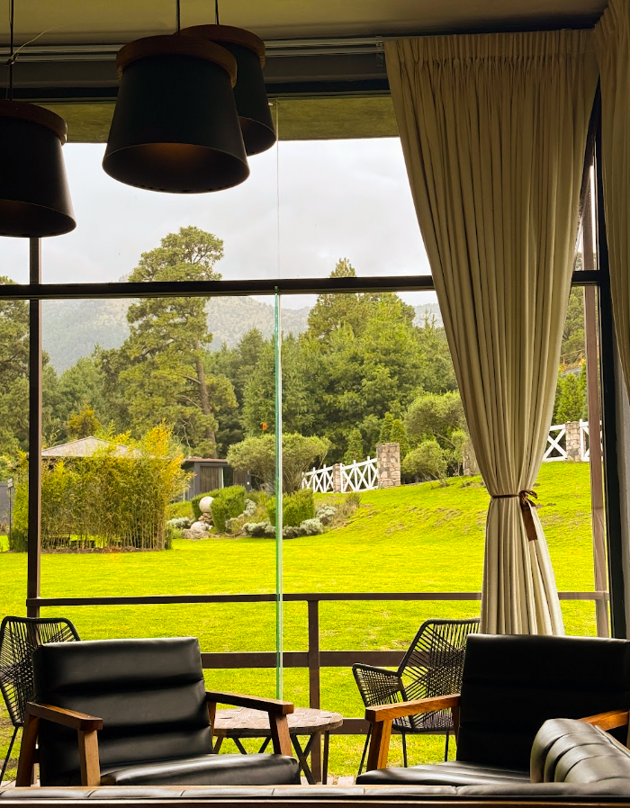 Vista de un jardín verde desde un interior con sillones de piel negra y cortinas beige, en un día nublado.