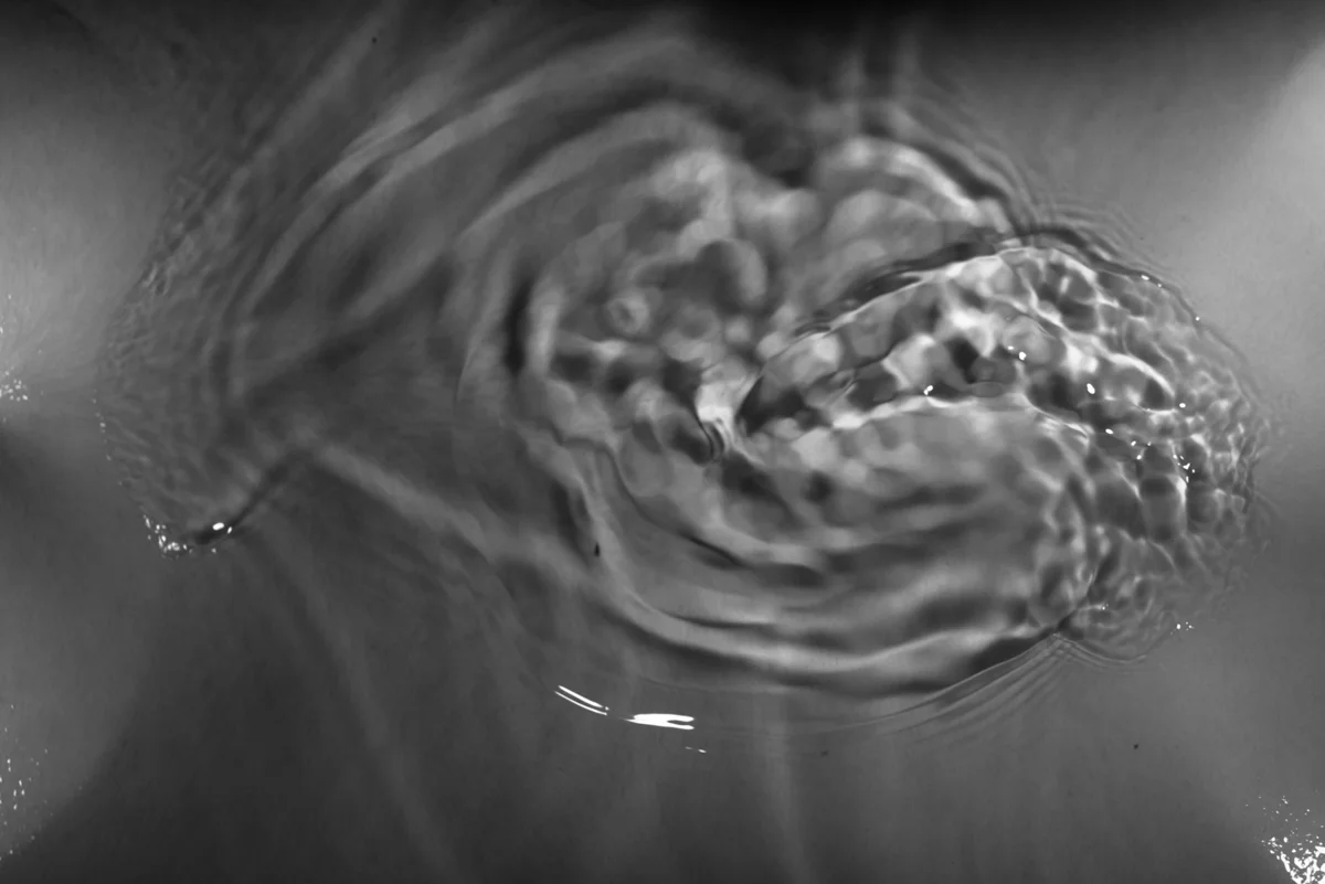 Forms in Water_Web_04.jpg