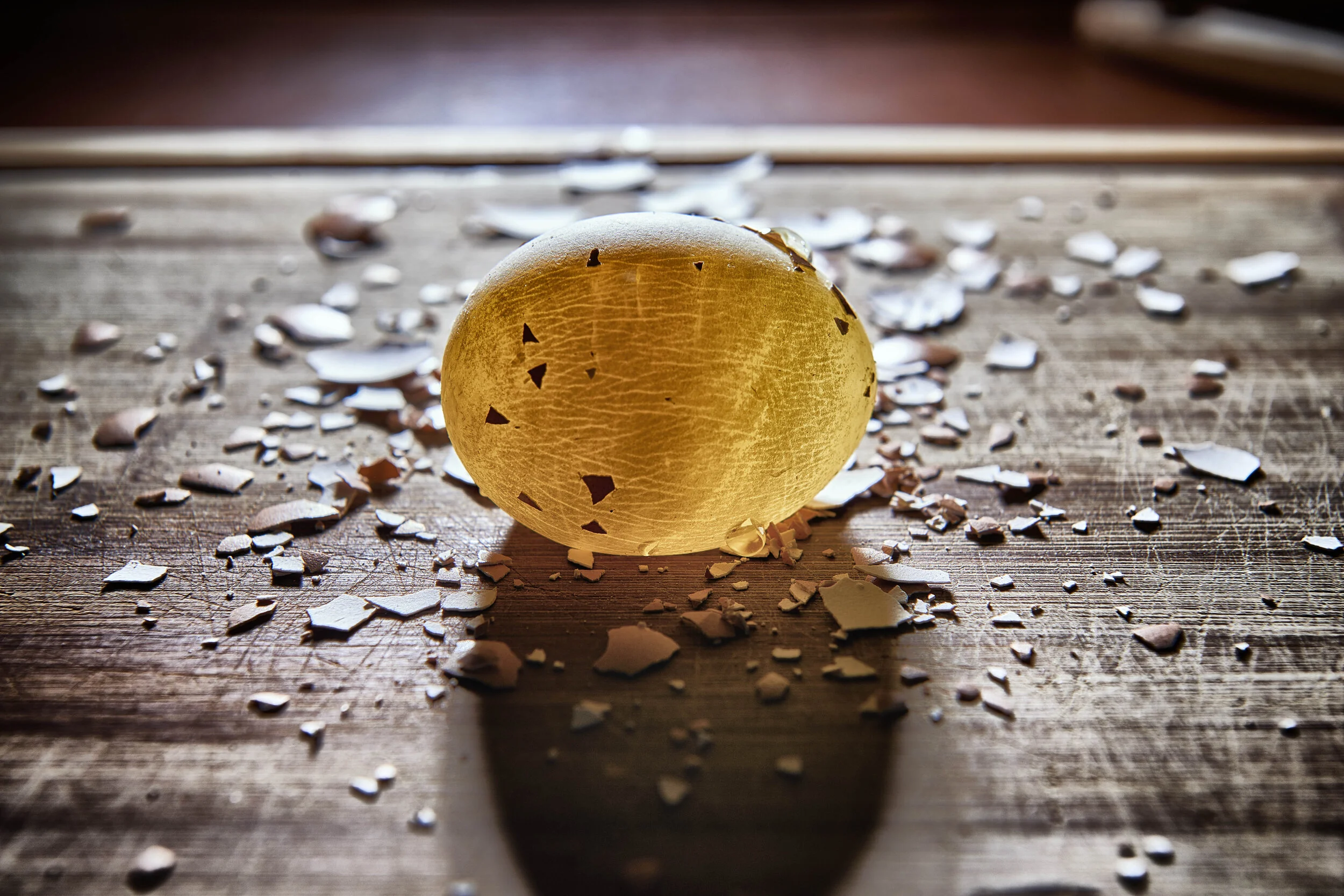 Egg Shell #2_Edit.jpg