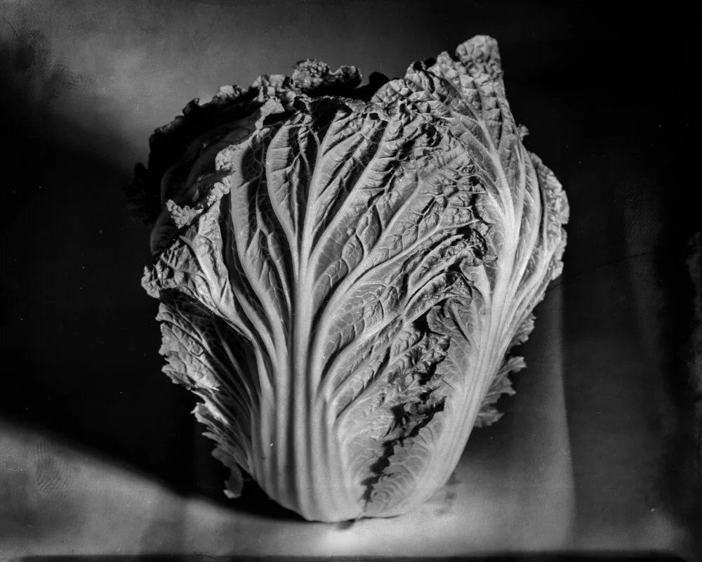 aHooks_Alex Hooks_ Veggie#1-1.jpg