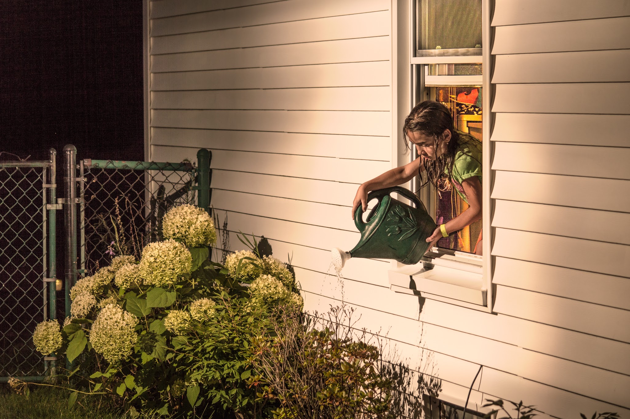 Late Night Watering