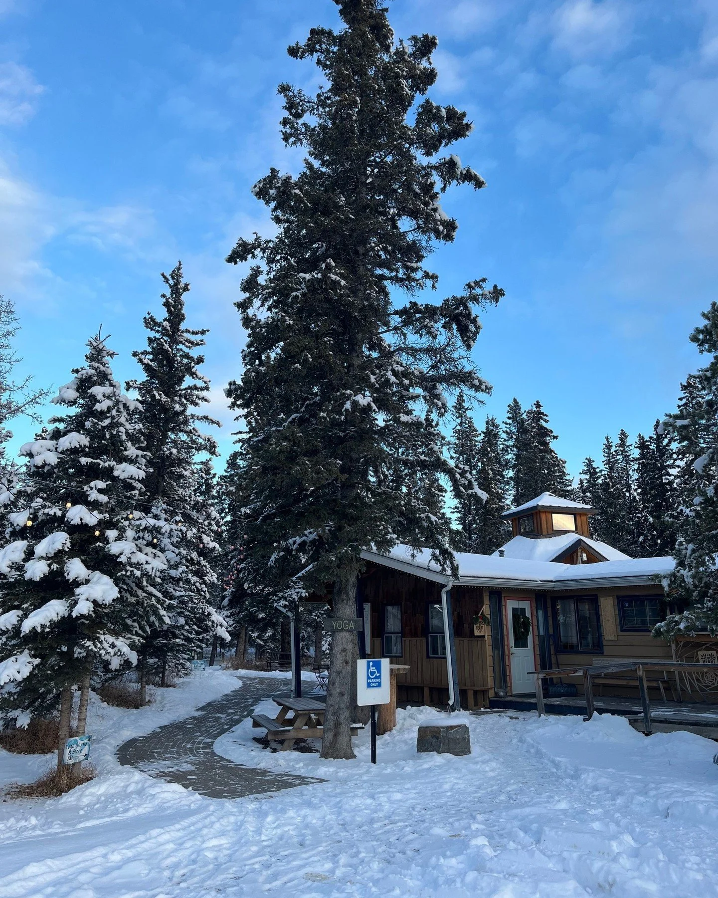 After your snowy adventures, don&rsquo;t forget to stop by and warm up with a delicious drink and a sweet treat. We&rsquo;d love to see you! ❄️

#yyccoffee #calgary #calgarycoffee #calgaryfood #calgaryfoodie #foodie #yyceats #yycliving #calgaryeats #
