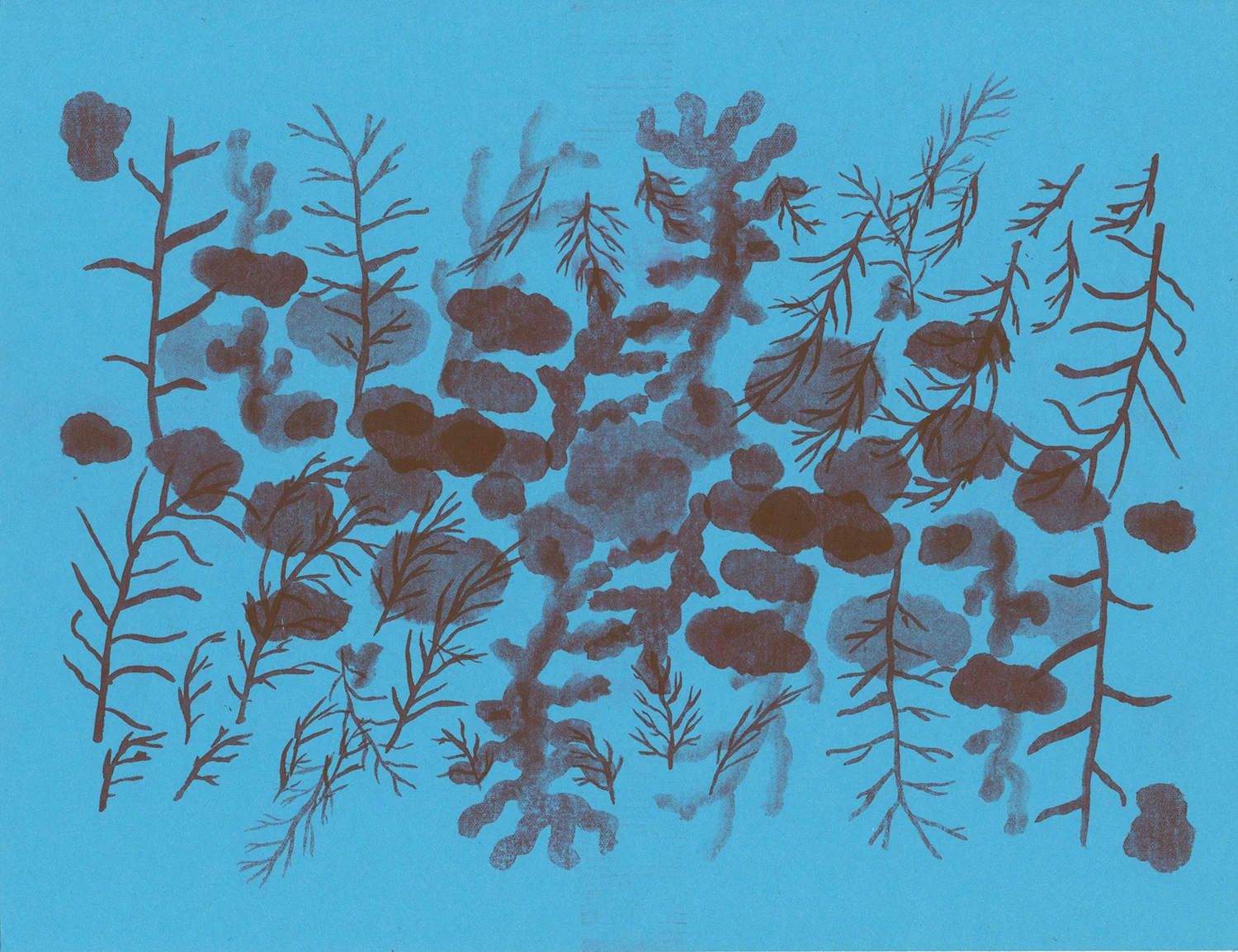 riso1.jpg