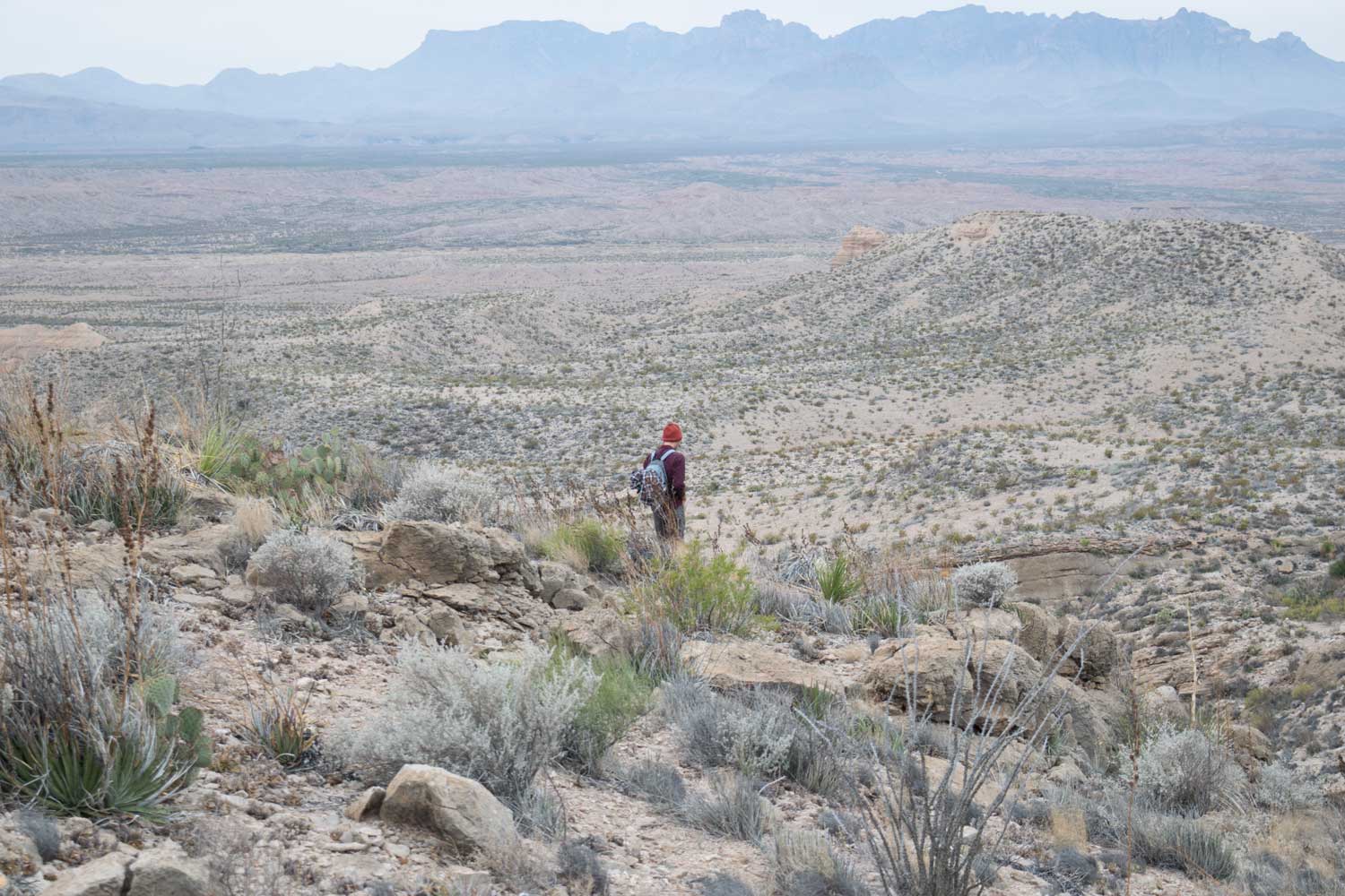 bigbend3.jpg