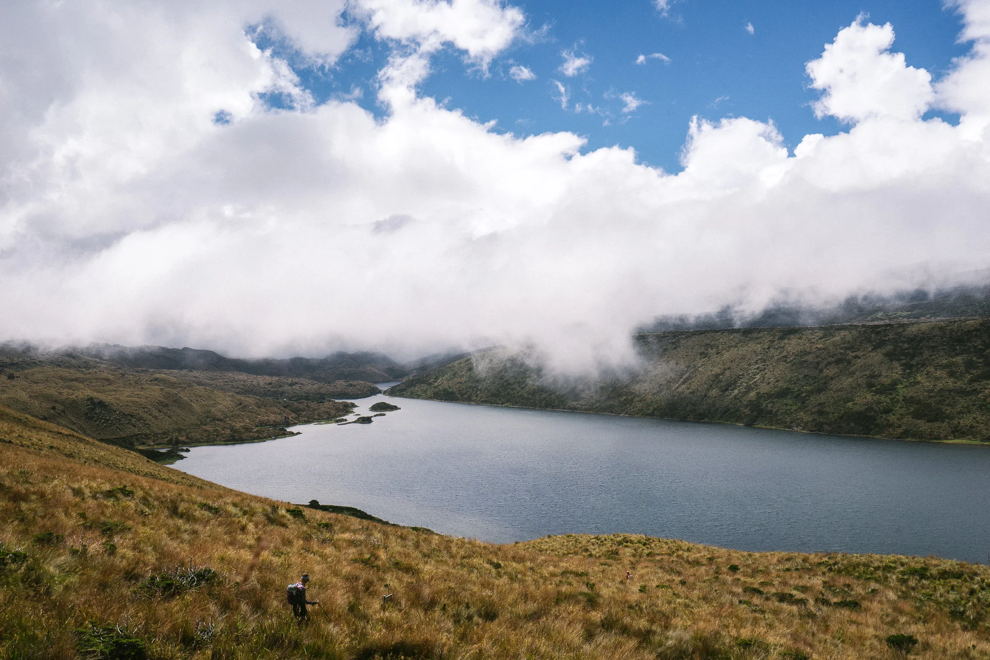 Parque Nacional Los Nevados - Kyle Frost