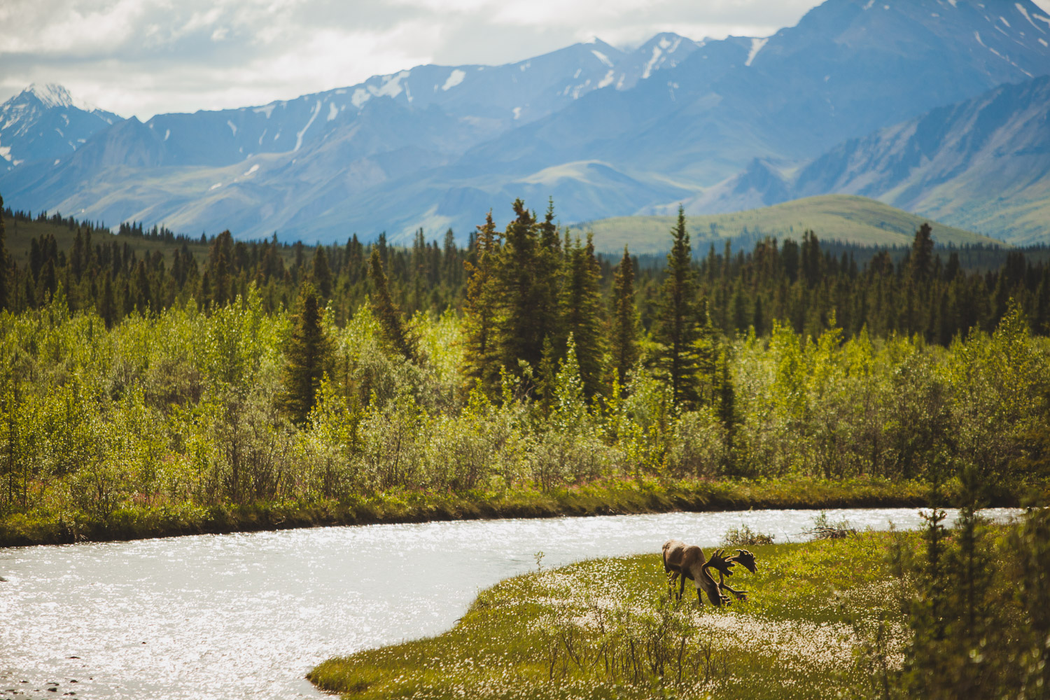 2014_0725_AK_A4046.jpg