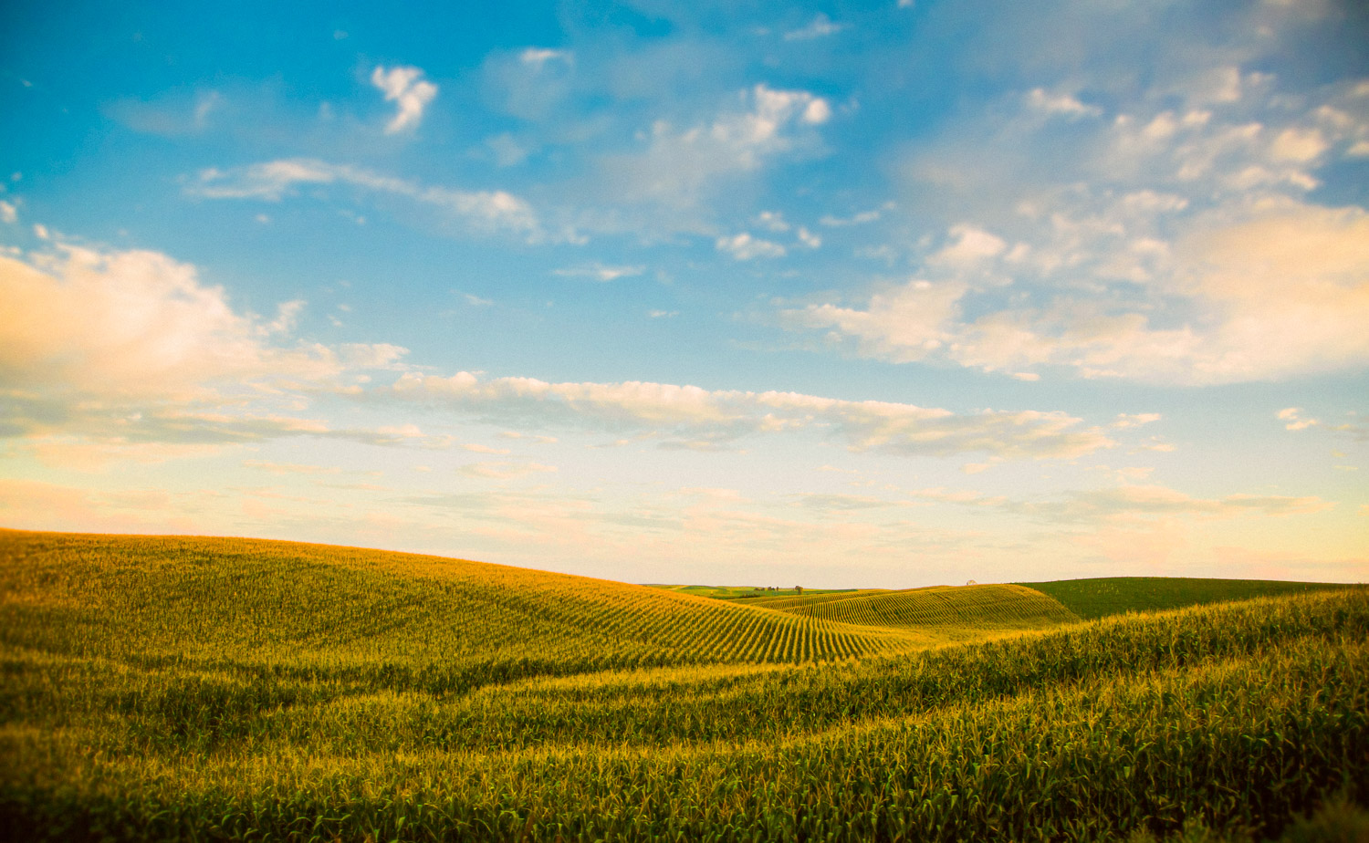 2013_0827_FCSA_B5477.jpg