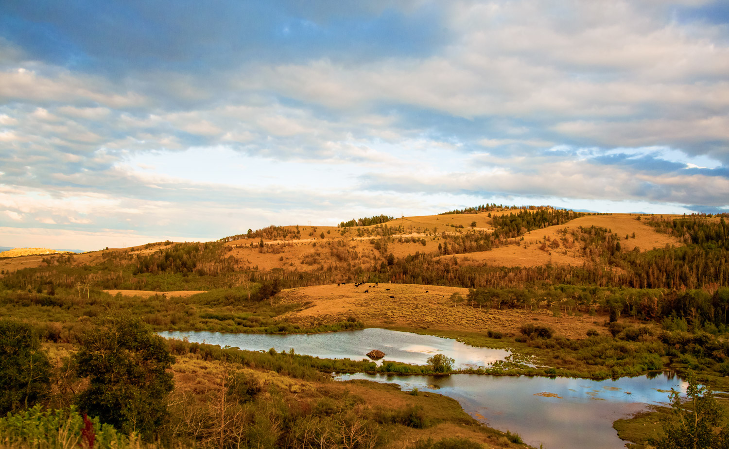 2013_0827_FCSA_B5346.jpg
