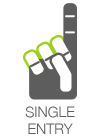 Gray and Green_Single Entry.png