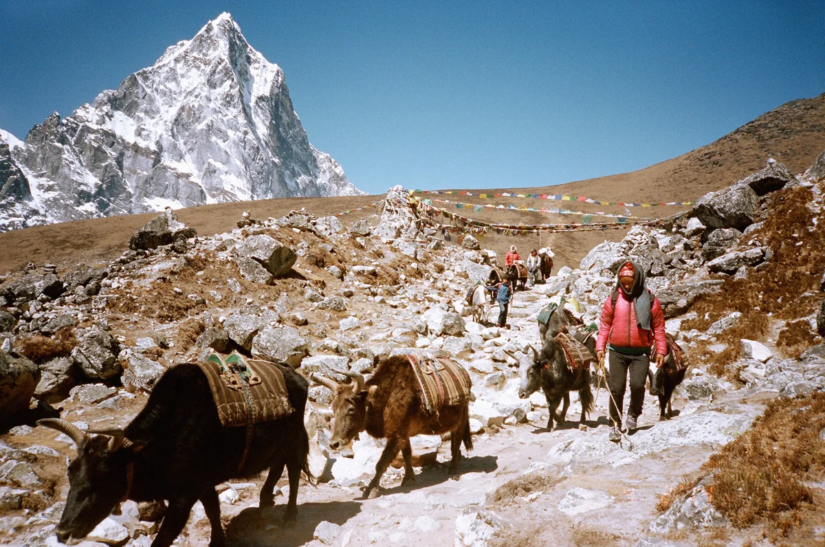 Everest_028.jpg