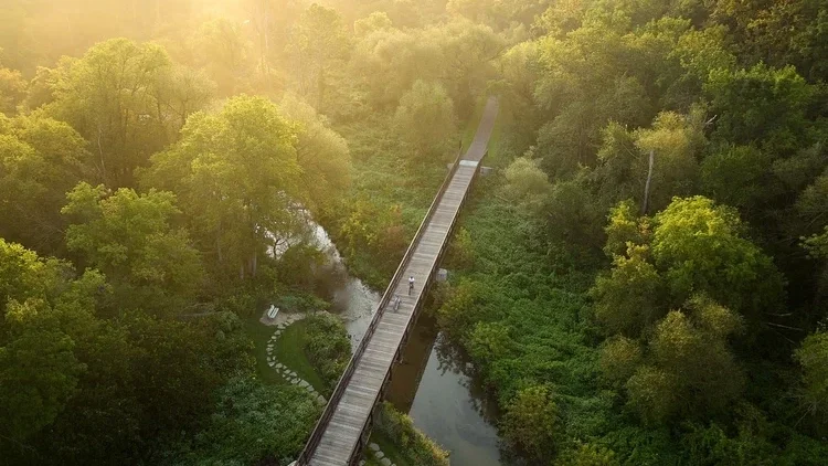 Scenic transition and title card