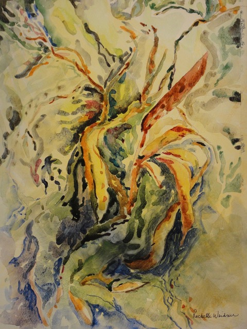Plant in Motion, 11" x 14"