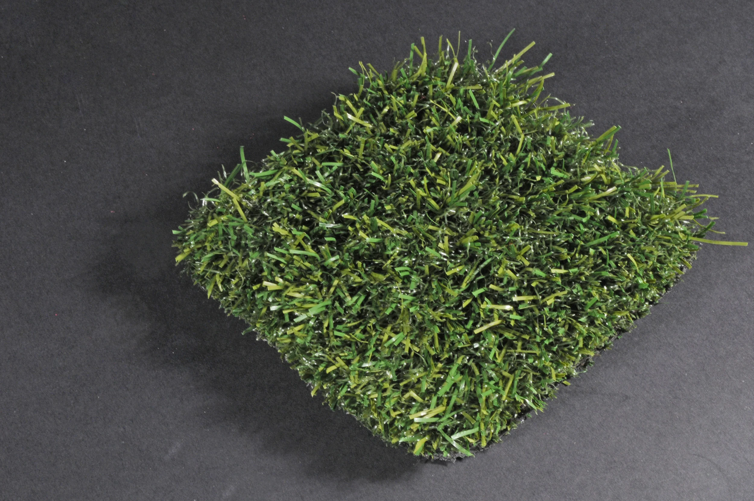 LANDSCAPE Top View.jpg