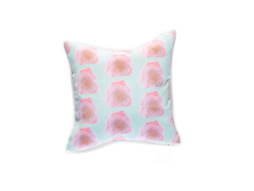 Aquarelle Maison Printed Pillow $160 