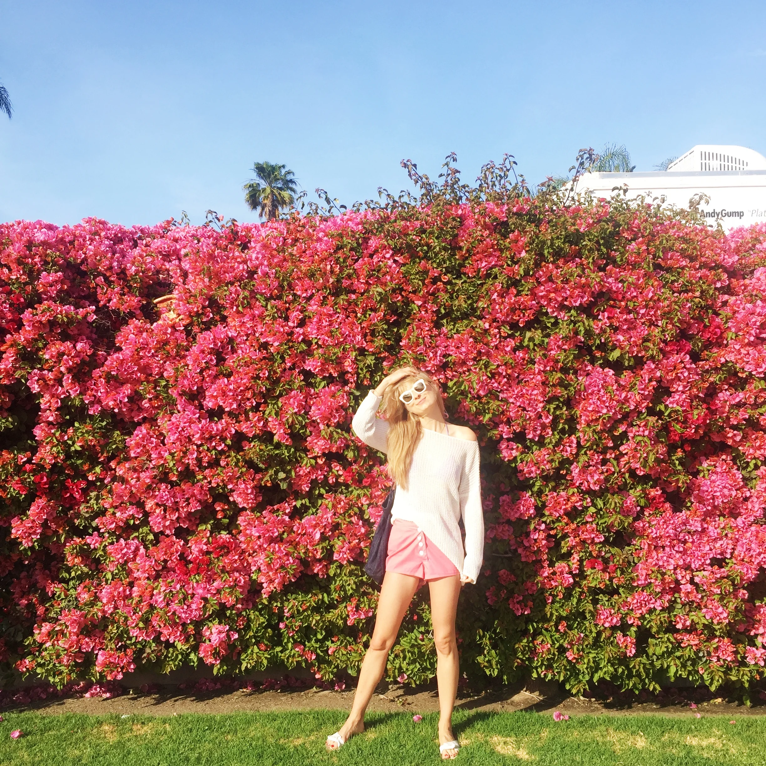 Flowers.jpeg
