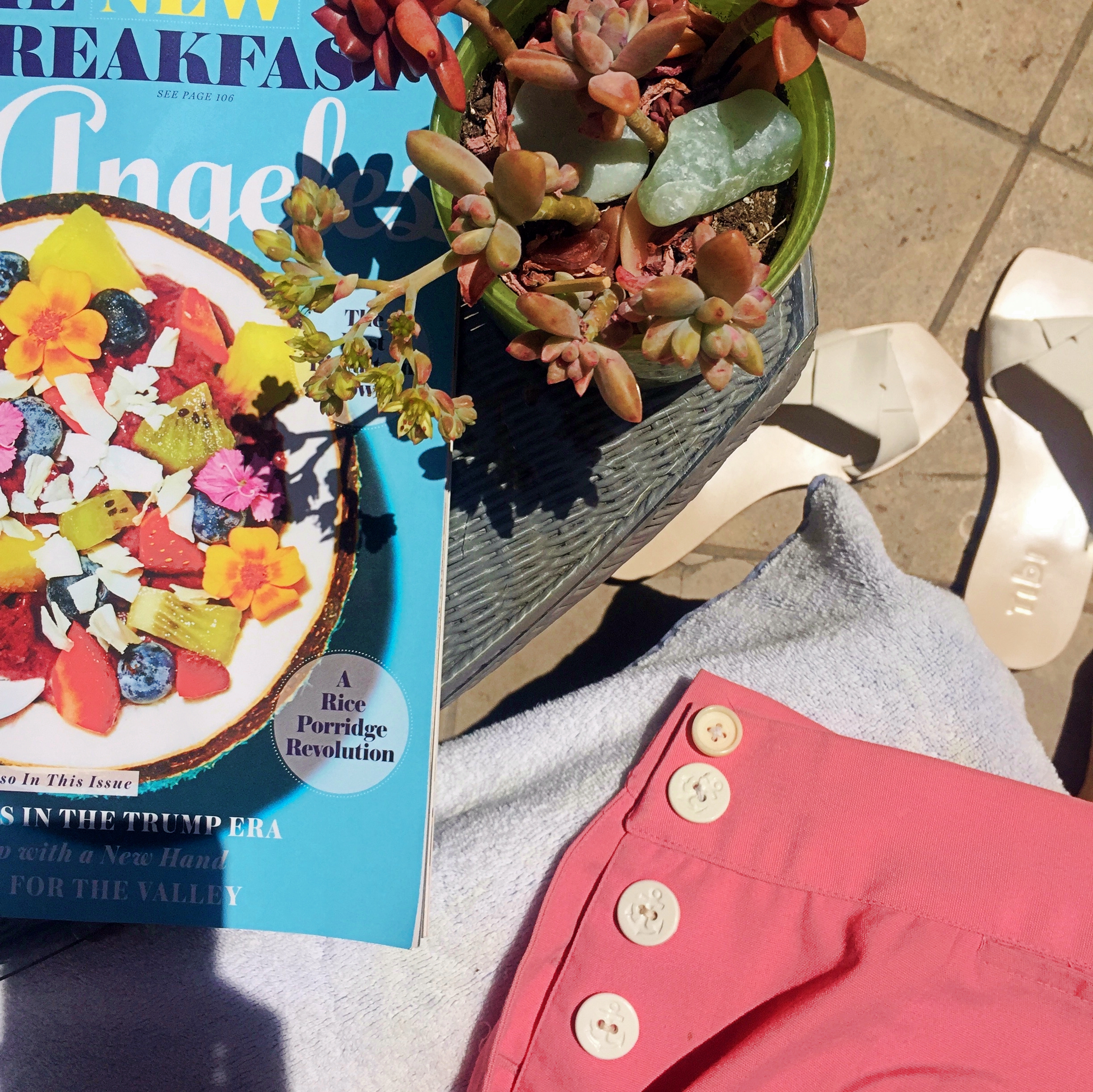 PoolEssentials.jpeg