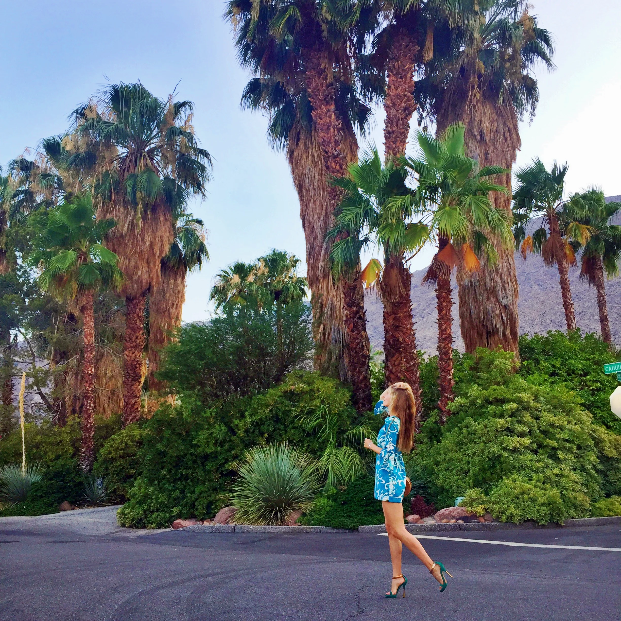 Natty Adventures in Palm Springs