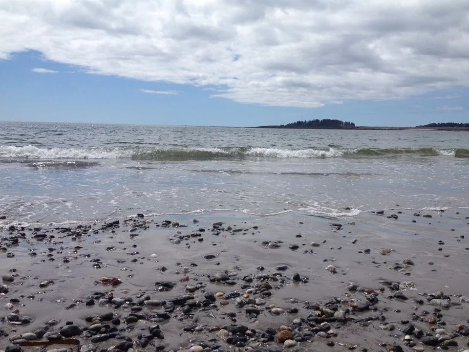 the ocean in maine