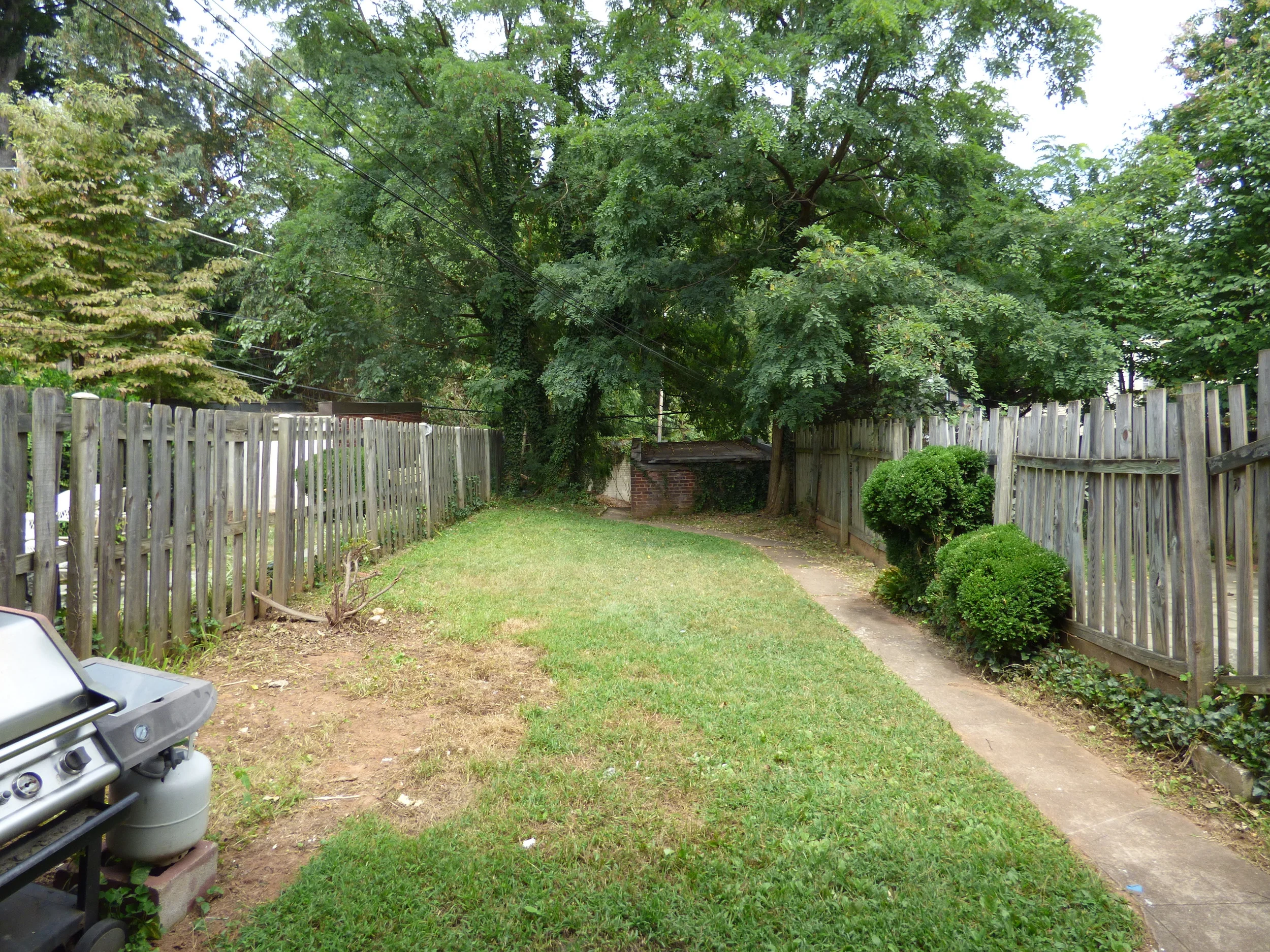 P1000860.JPG