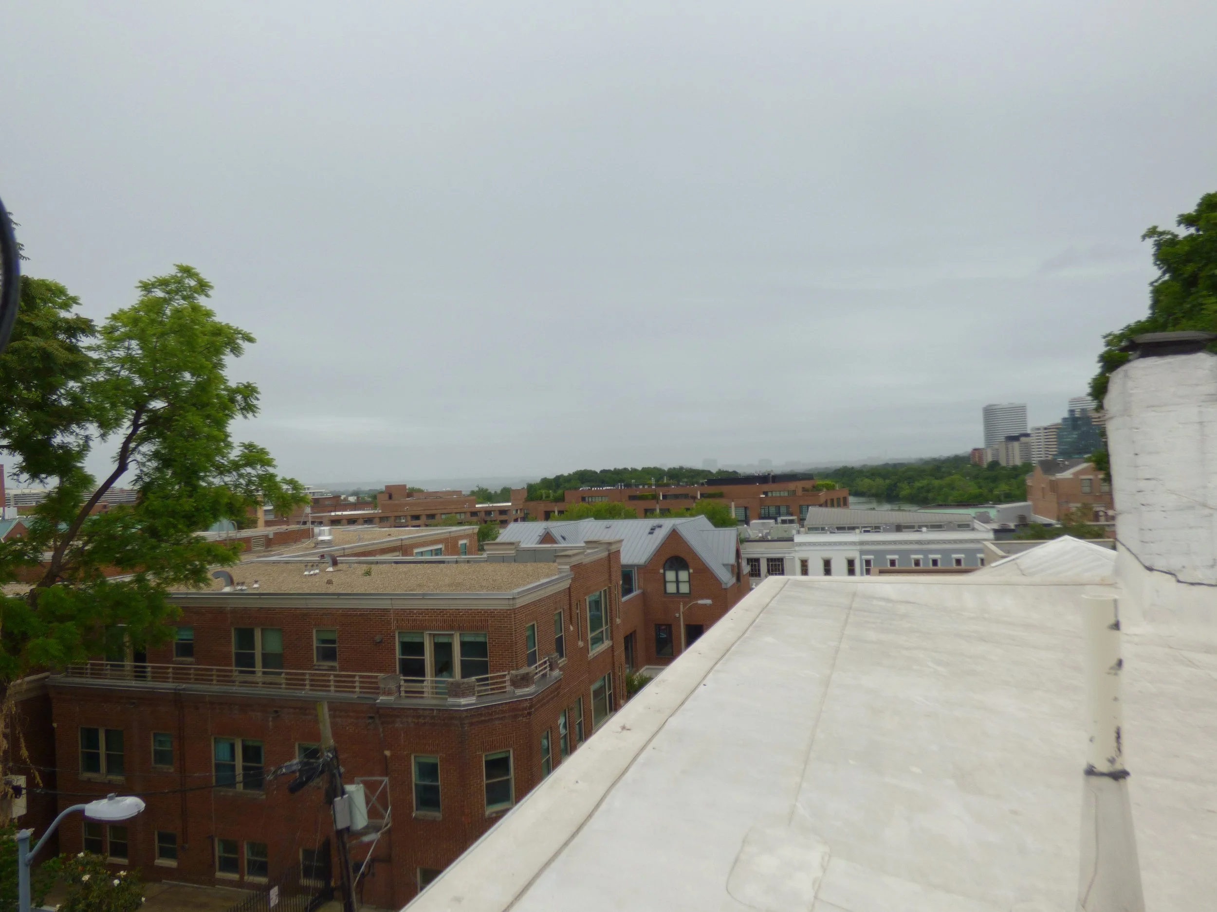 P1050223.JPG