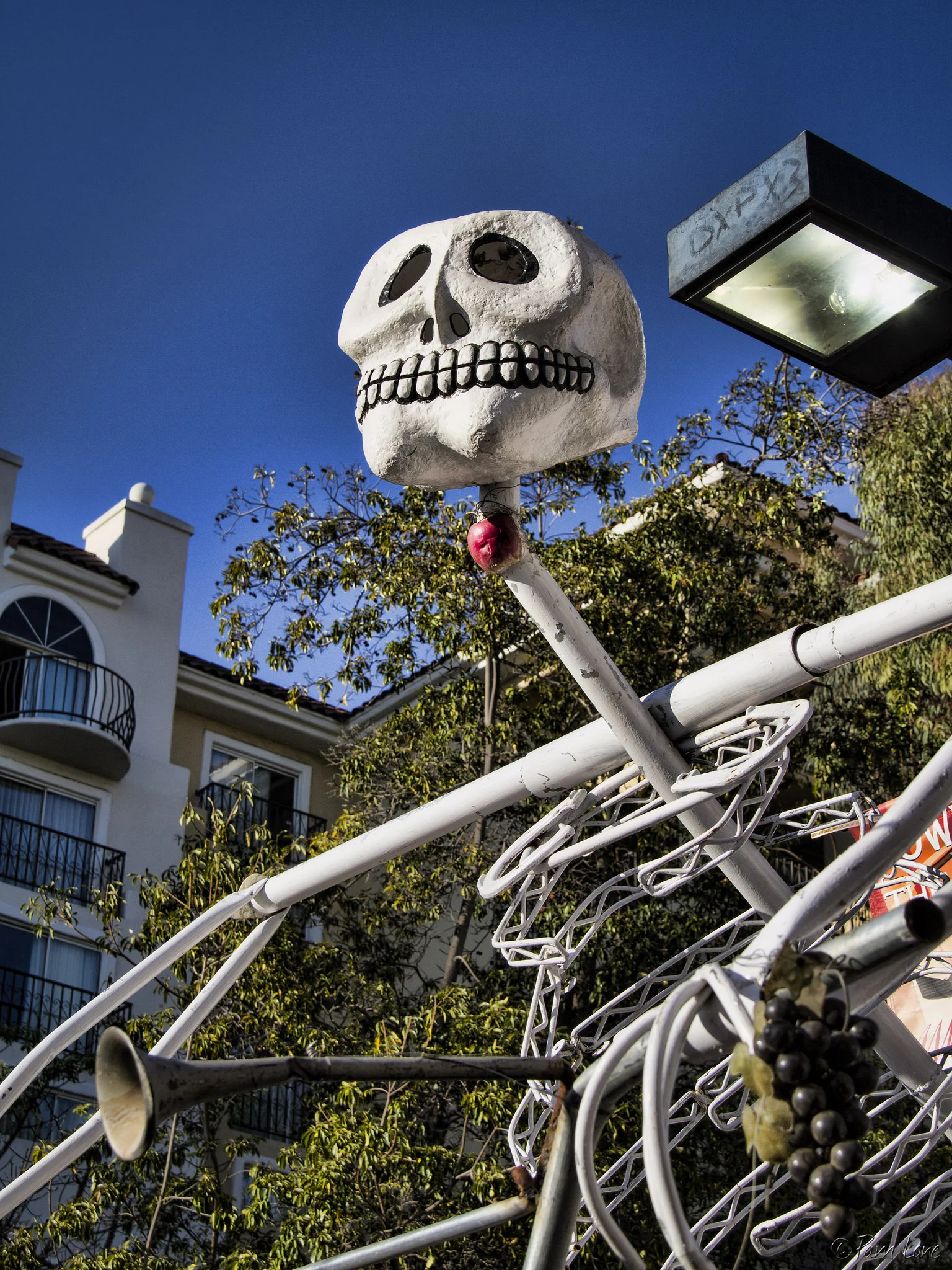 Mexican artist returning to Dia de los Muertos festival