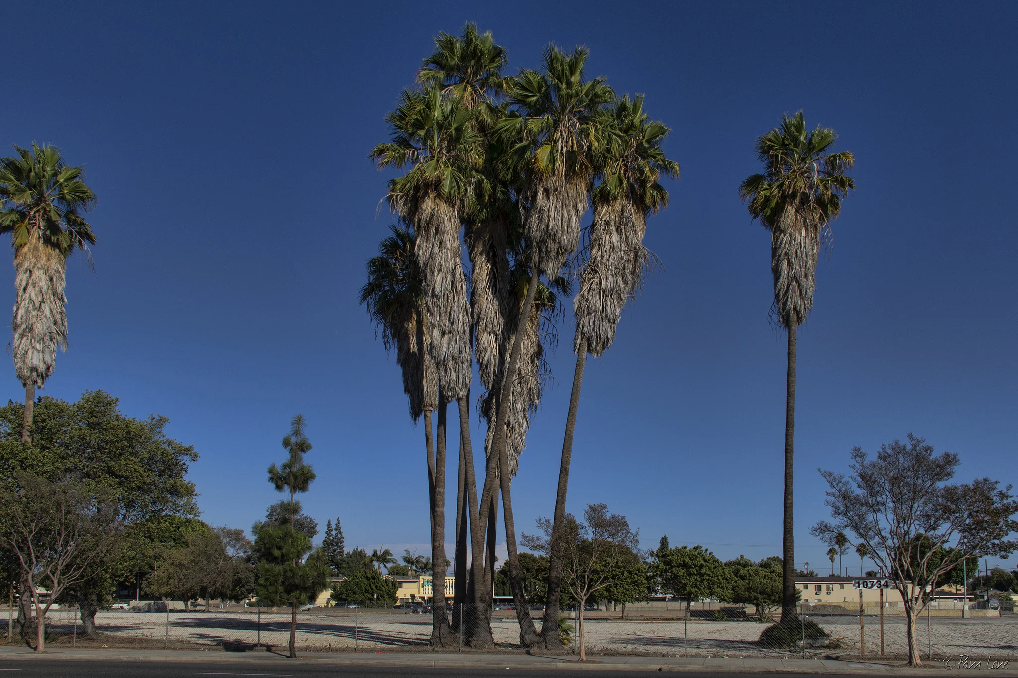 Developer approved to build 117 townhomes on Gallatin Medical site