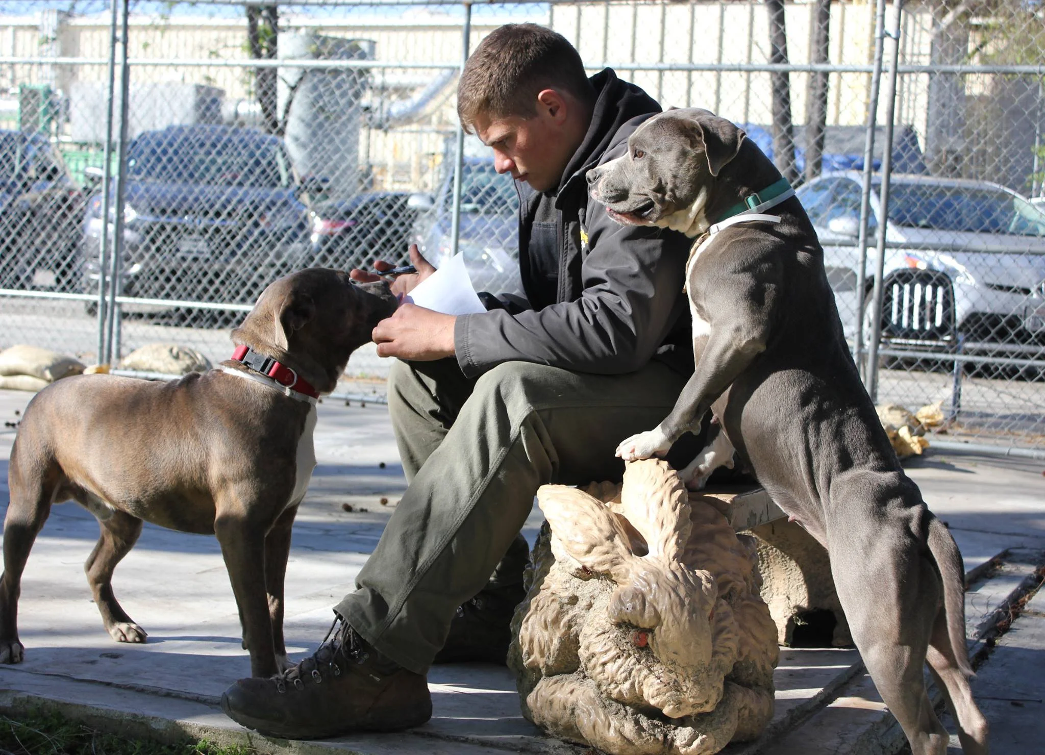 Opinion: Euthanizing a dog isn't a decision made lightly