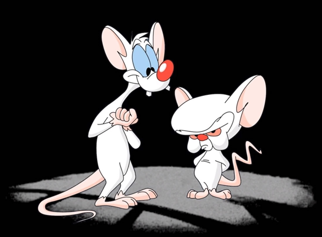 Animaniacs, Pinky and the Brain to take over Downey Theatre.