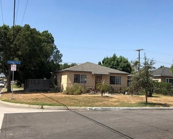 9642 cedartree.jpg