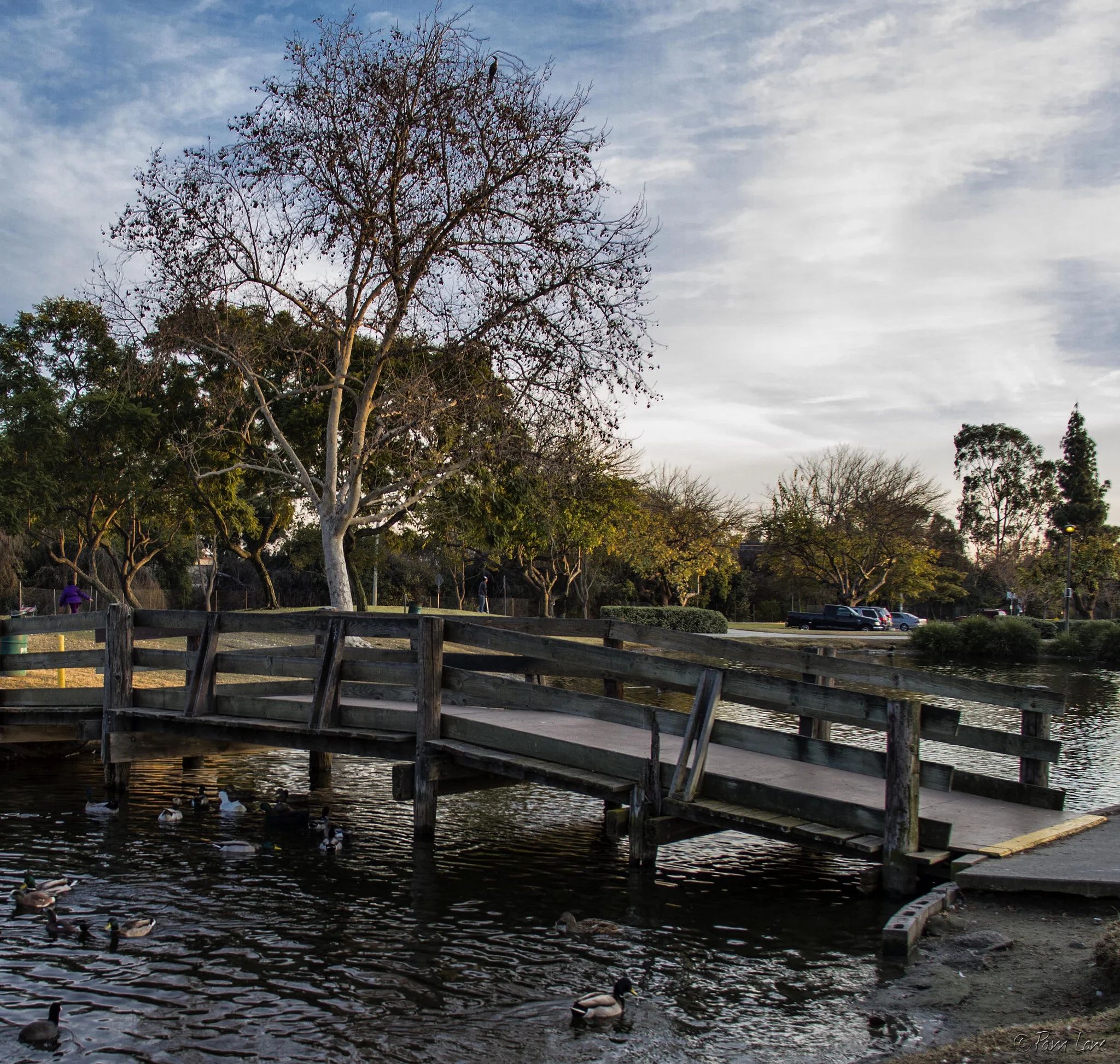 The pedestrian bridge at Wilderness Park as seen in 2013. It was later removed. Photo by Pam Lane, DowneyDailyPhotos.com