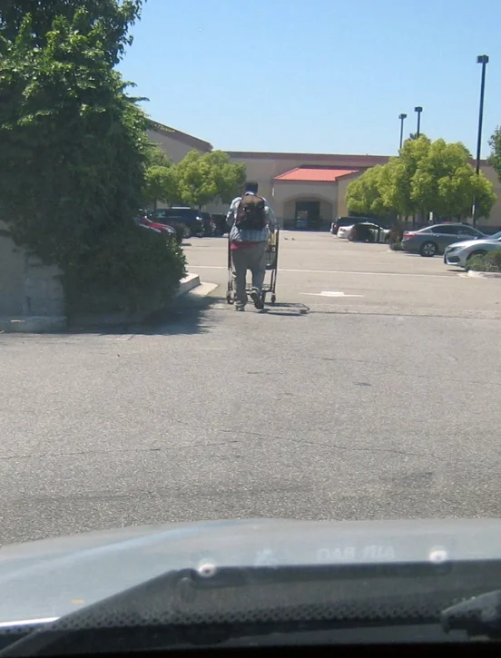 Homeless in the hedges