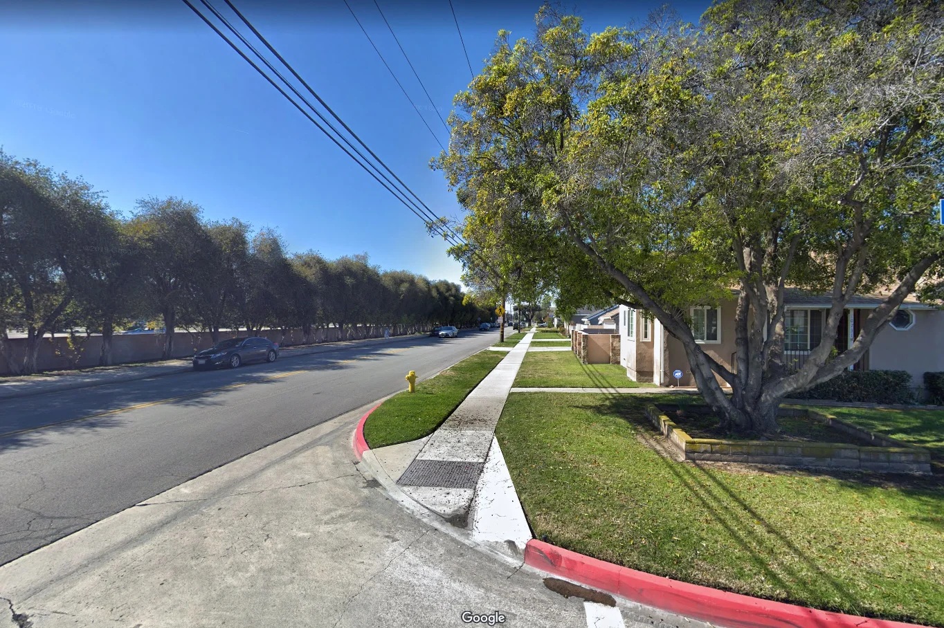 Letter to the Editor: I'd rather have a street light than a tree