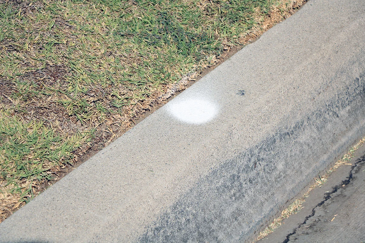 Residents have reported markings on their curbs, presumably where trees will be planted. Photo by Alex Dominguez