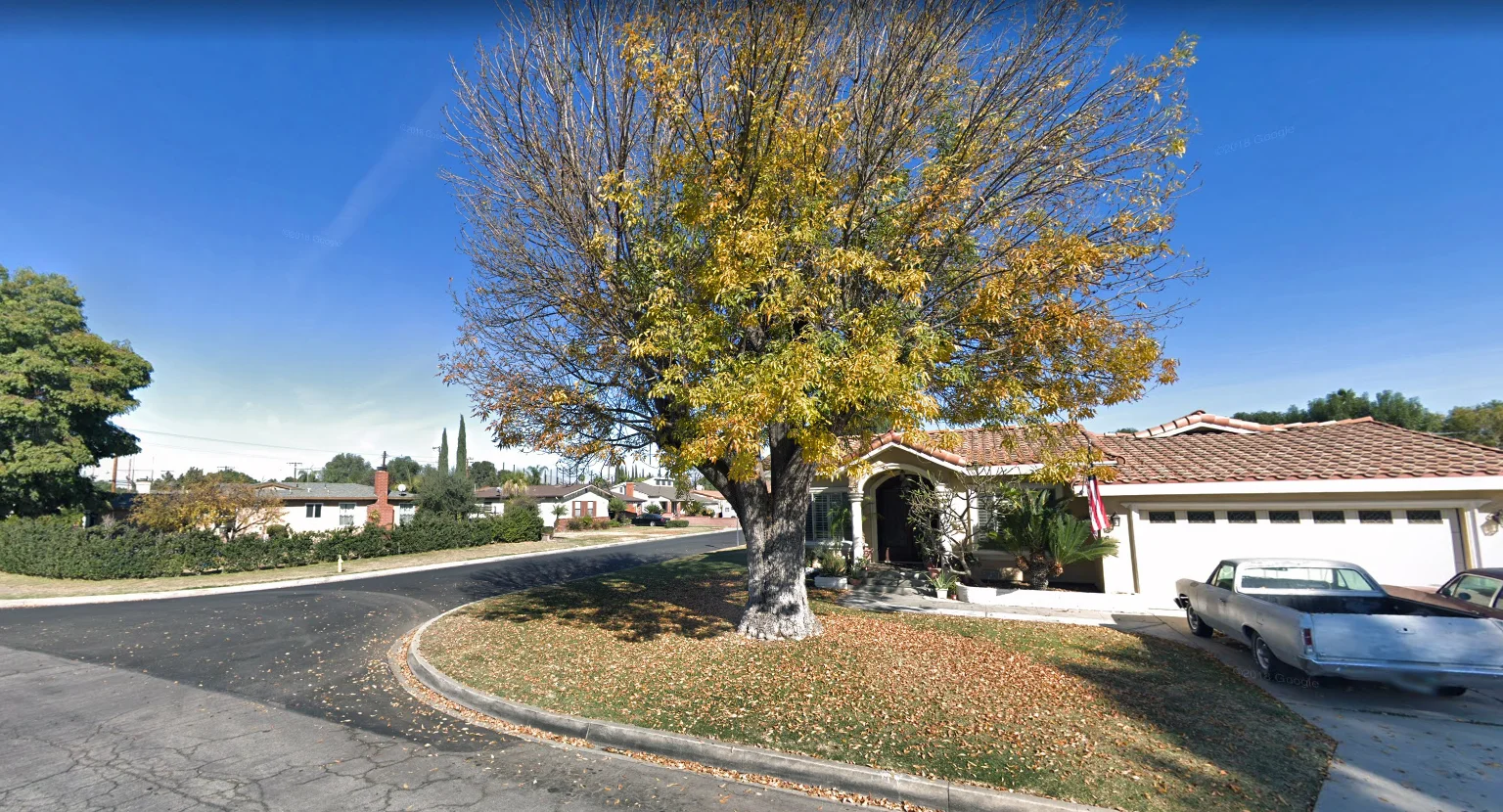 City Council OK's deal for 540 trees