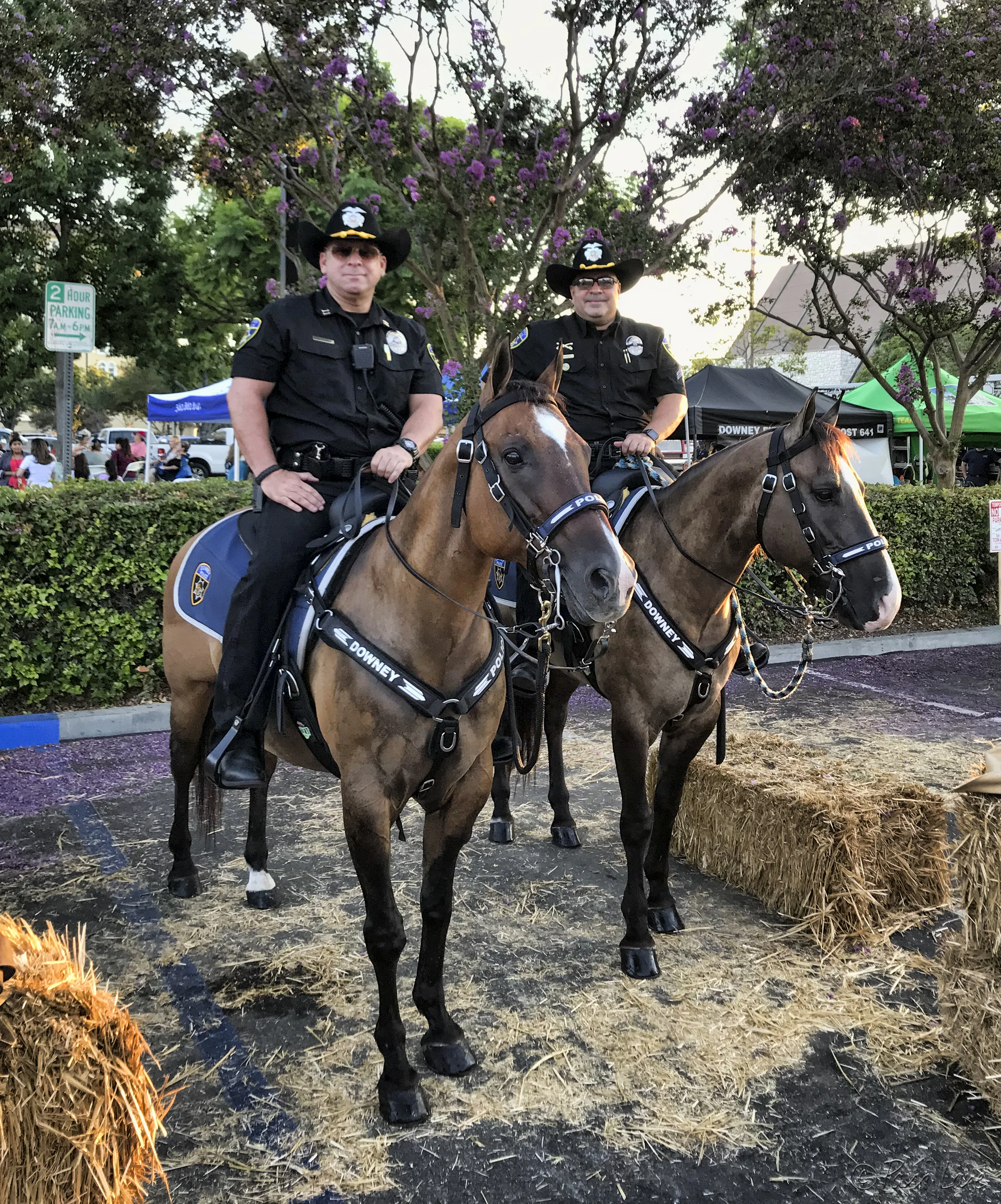 Downey Police turn to horses in effort for community engagement