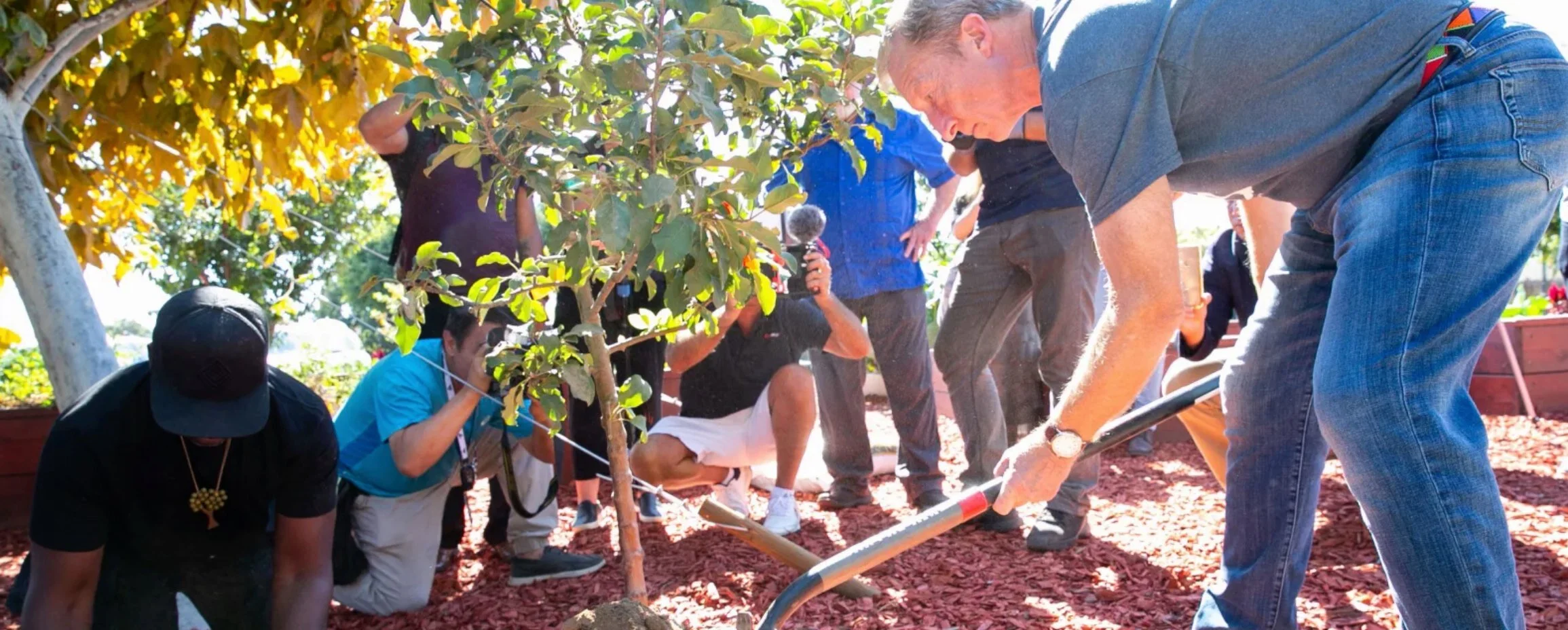Tom Steyer campaign planting trees in Downey